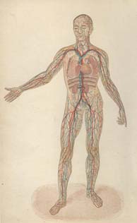 18th century remedies from the practical home physician; the human circulation system.